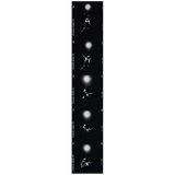 Bruce Springsteen Limited Edition Contact Sheet